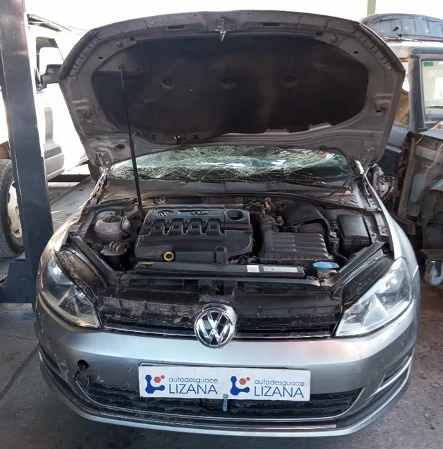 Volkswagen Golf VII